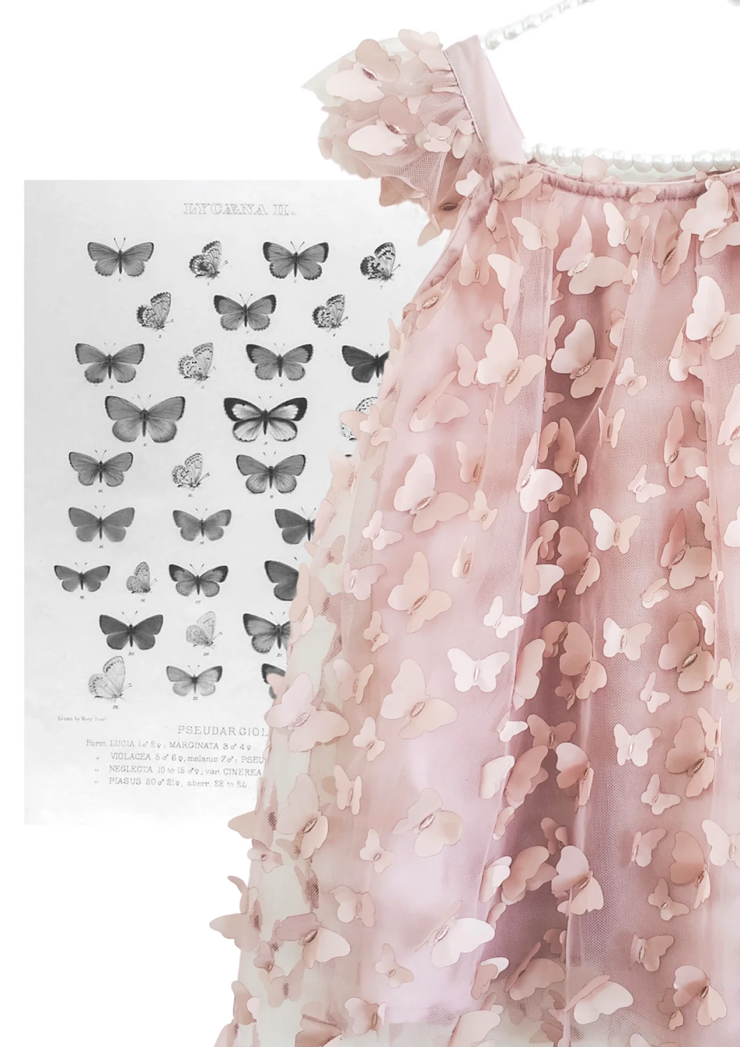 Tutu Kjole Allover Buttetflies - DOLLY By Le Petit